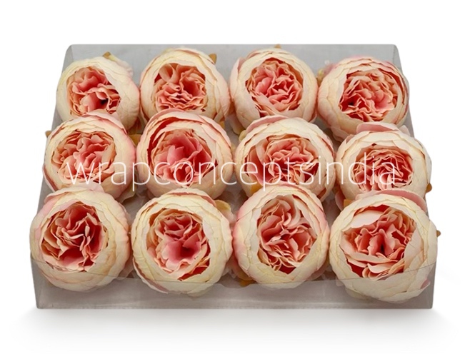 Peony - Cream with Peachy Pink Peony - Cream with Peachy Pink