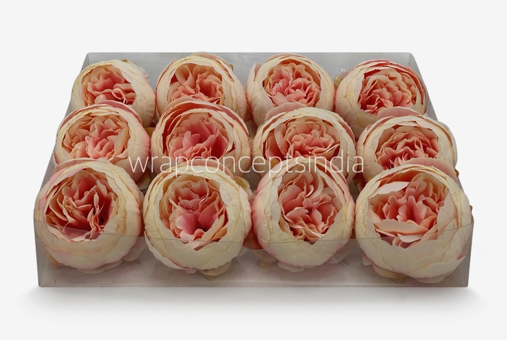 Peony - Cream with Peachy Pink Peony - Cream with Peachy Pink