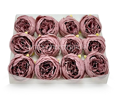 Peony - Dusky Mauve
