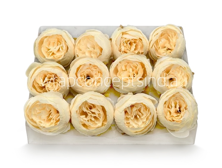 Peony - Cream Yellow Peony - Cream Yellow