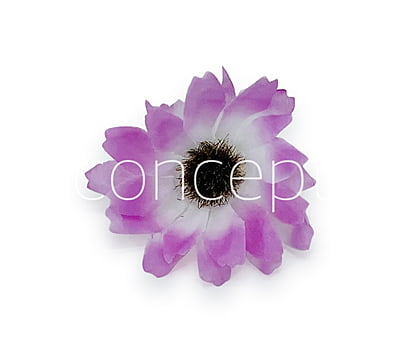 Sun Flowers - Violet With White Sun Flowers - Violet With White
