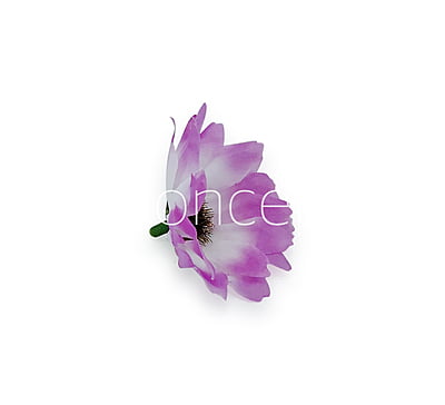 Sun Flowers - Violet With White Sun Flowers - Violet With White