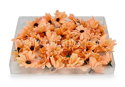 Sun Flowers - Pumpkin Orange Sun Flowers - Pumpkin Orange