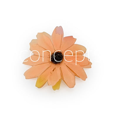 Sun Flowers - Pumpkin Orange Sun Flowers - Pumpkin Orange