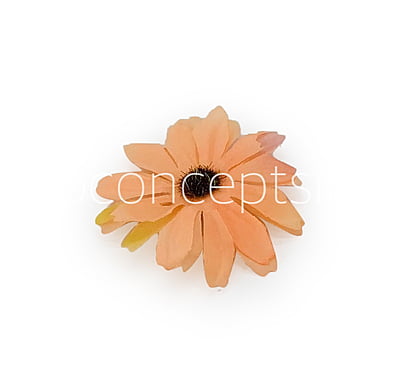Sun Flowers - Pumpkin Orange Sun Flowers - Pumpkin Orange