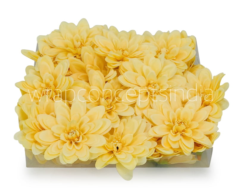 Corn Dahlias Corn Dahlias