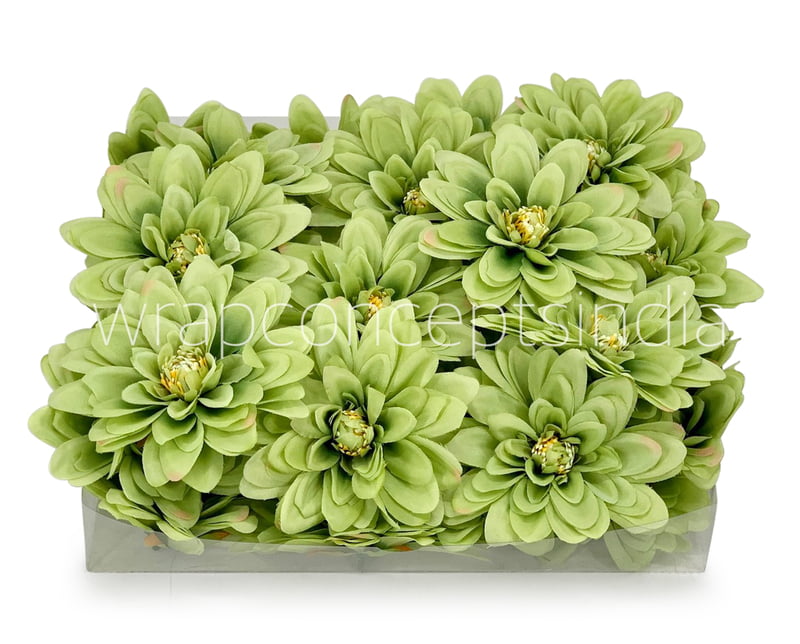 Apple Green Dahlias Apple Green Dahlias