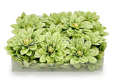Apple Green Dahlias Apple Green Dahlias