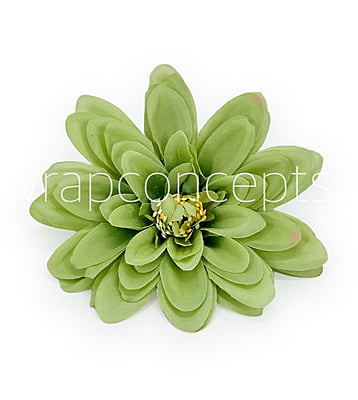 Apple Green Dahlias Apple Green Dahlias