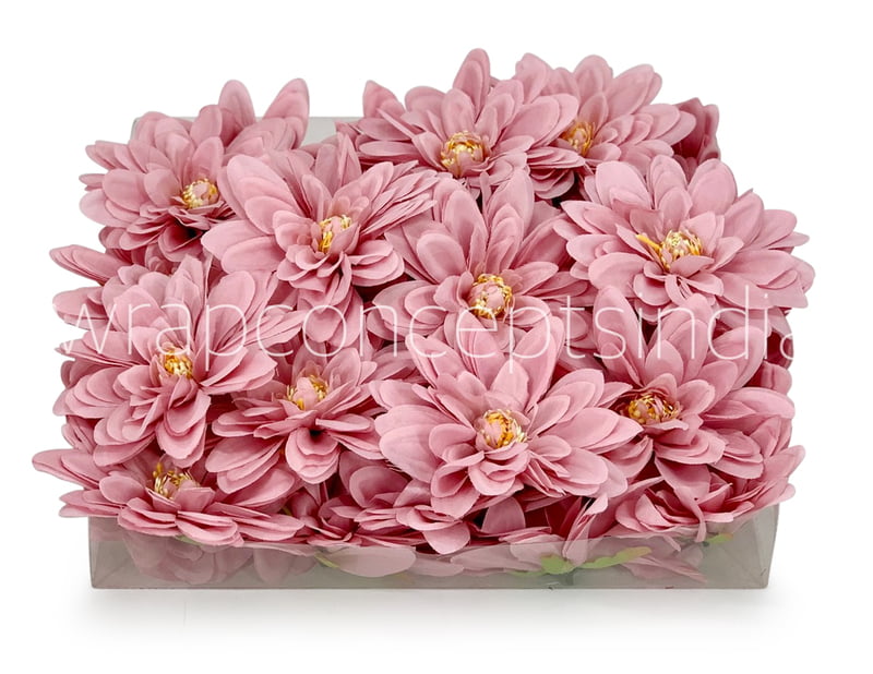 Rose Quartz Dahlias Rose Quartz Dahlias