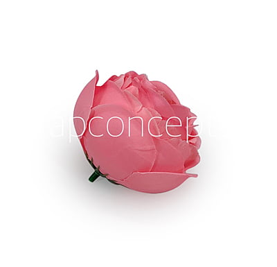 Bubblegum Pink Peony Bubblegum Pink Peony