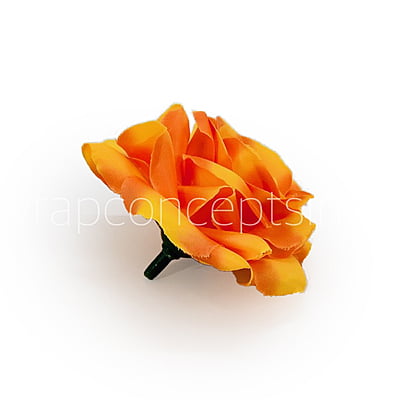 Sunshine Yellow with hints of Orange Sunshine Yellow with hints of Orange