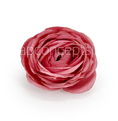 Pomegranate Peony
