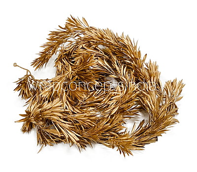 Gold Pine Leaves String Gold Pine Leaves String