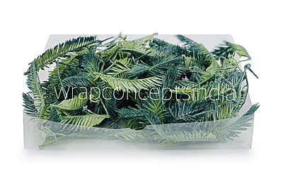 Long Palm Leaves Long Palm Leaves