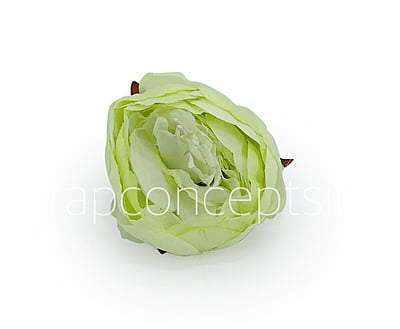 Peony - Lime Green