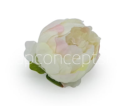 Peony - Ivory with hints of pink