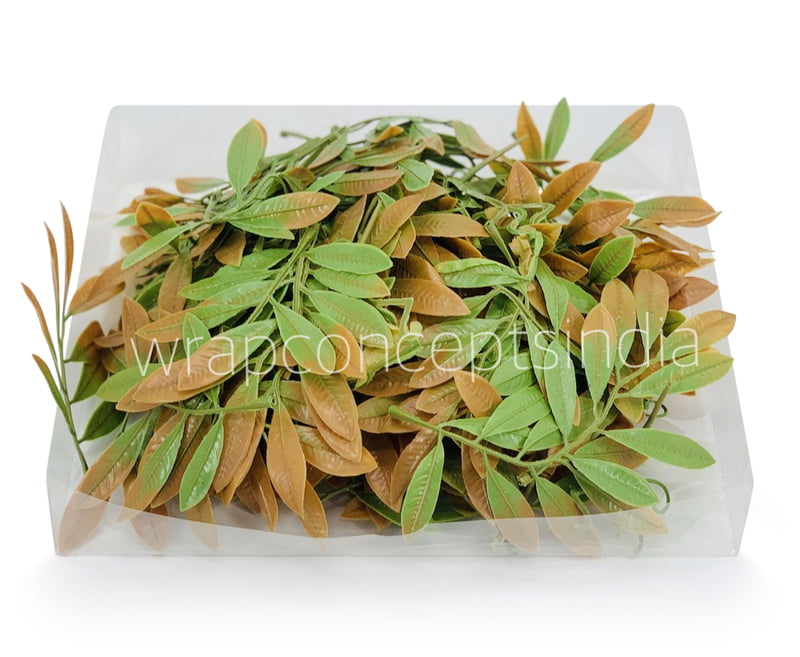 Acacia Leaves Green & Brown Shaded Acacia Leaves Green & Brown Shaded