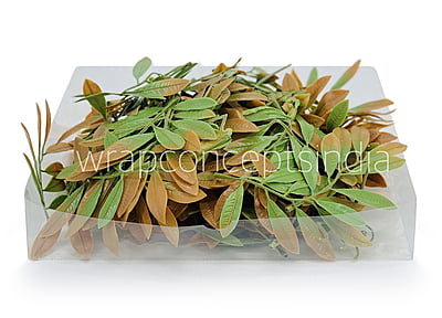 Acacia Leaves Green & Brown Shaded Acacia Leaves Green & Brown Shaded