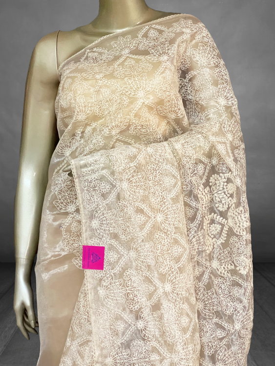 Nila– The Tissue saree in Thread Embroidery SWS44 Nila– The Tissue saree in Thread Embroidery SWS44