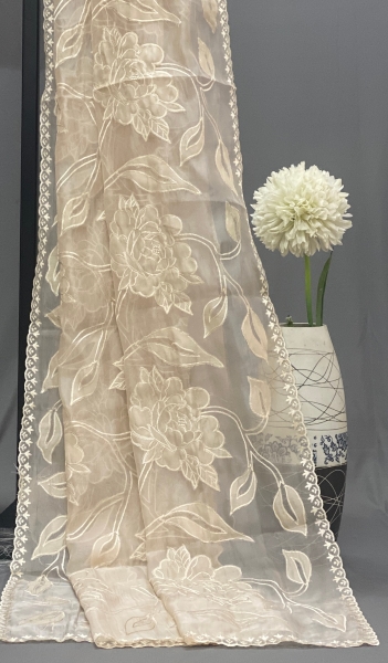 Hira - The Applique Work Organza Saree SWS46 Hira - The Applique Work Organza Saree SWS46
