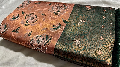 Rozy Stone Work Silk Saree - Choco Orange & Dark Green