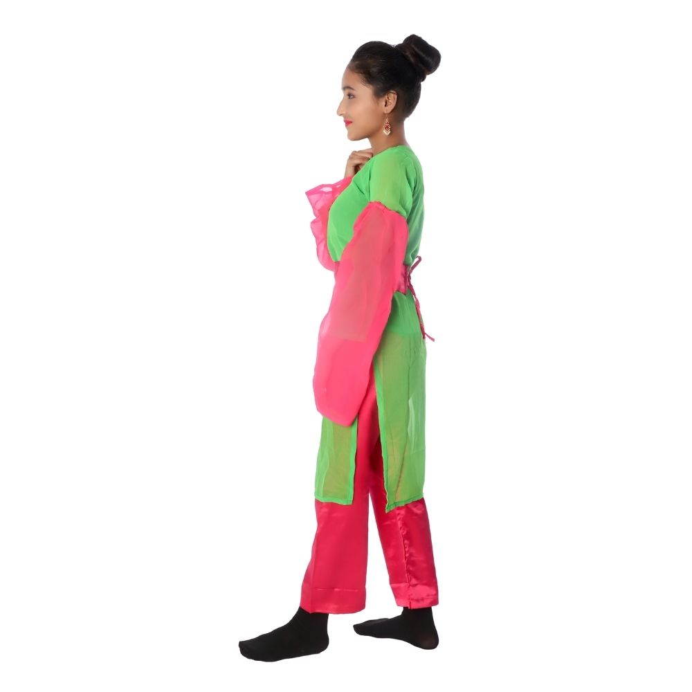 Indo Western Fancy Dress Costume Magenta And Green Indo Western Fancy Dress Costume Magenta And Green