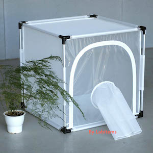 Insect Rearing Cage 6S610 (aluminum frame as a backbone) Insect Rearing Cage 6S610 (aluminum frame as a backbone)