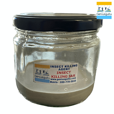 GeniusGullu insect collection starter (GICS) Entomological Kit GeniusGullu insect collection starter (GICS) Entomological Kit