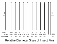 Insect Pins with Enamel Coating Insect Pins with Enamel Coating