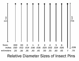 Insect Pins with Enamel Coating