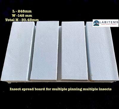 Insect Spreading Board for pinning multiple insects Insect Spreading Board for pinning multiple insects