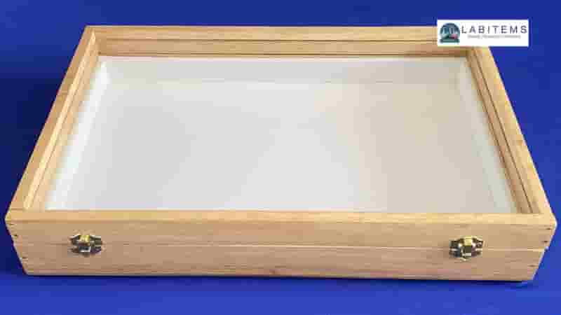 Insect Storage Box for students Insect Storage Box for students