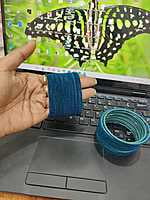 Velvet Bangle JBAN35