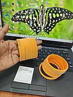 Velvet Bangle JBAN35