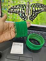 Velvet Bangle JBAN35