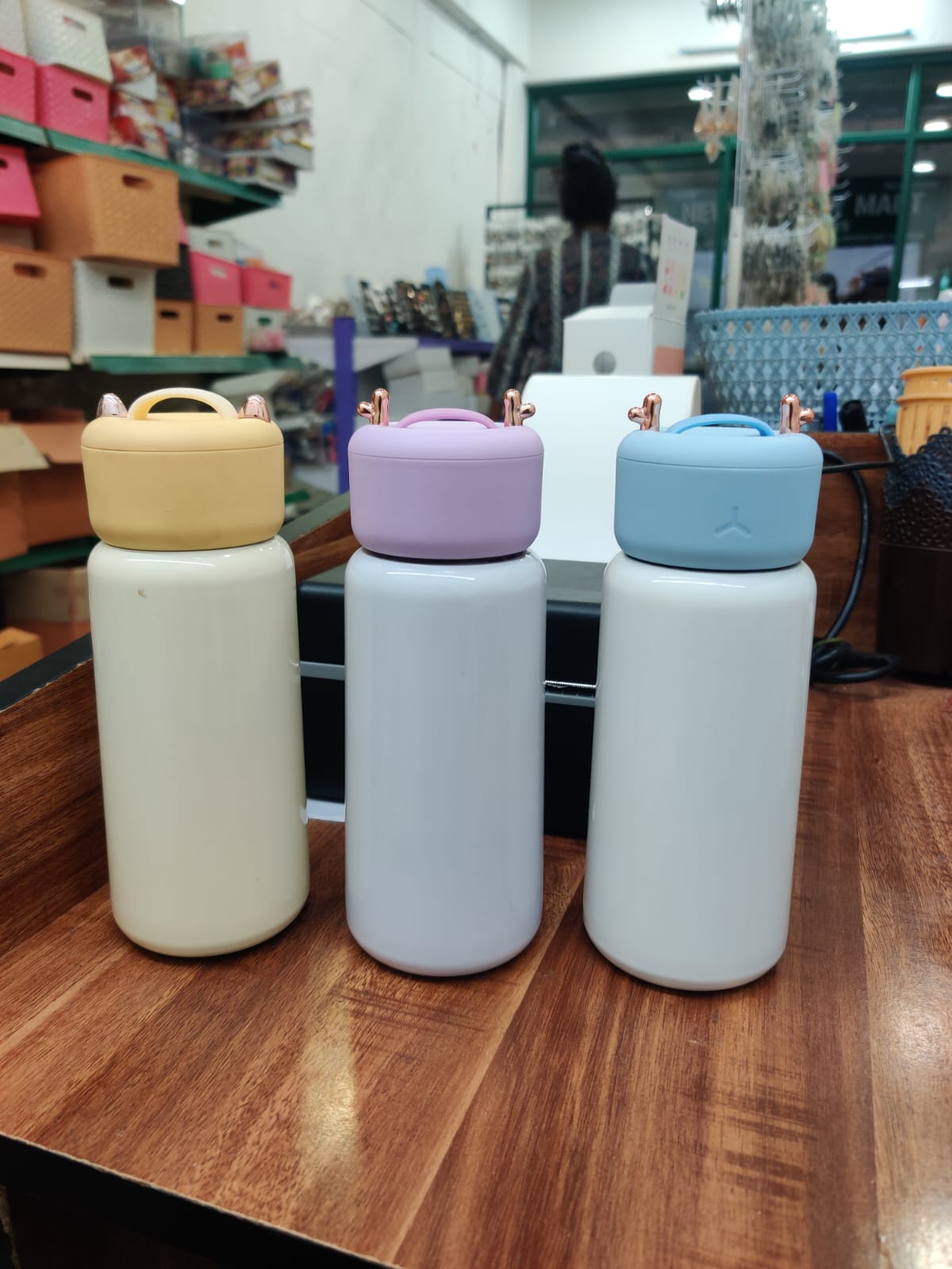 Steel bottle JBL13