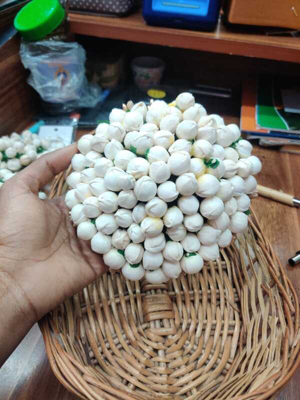Jasmine bun JCL215