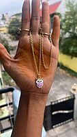 Owl chain JNCC100