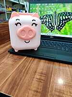 Pig Piggy Bank