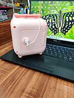 Pig Piggy Bank
