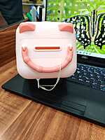 Pig Piggy Bank
