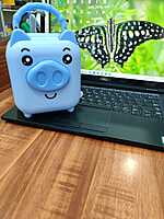 Pig Piggy Bank