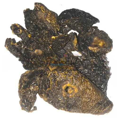 Dried Jarige Puli | Anavya | Dhanambe | Mysore Gamboge- 200g Dried Jarige Puli | Anavya | Dhanambe | Mysore Gamboge- 200g