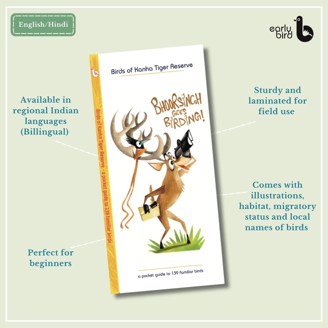 Early Bird Pocket Guides Early Bird Pocket Guides