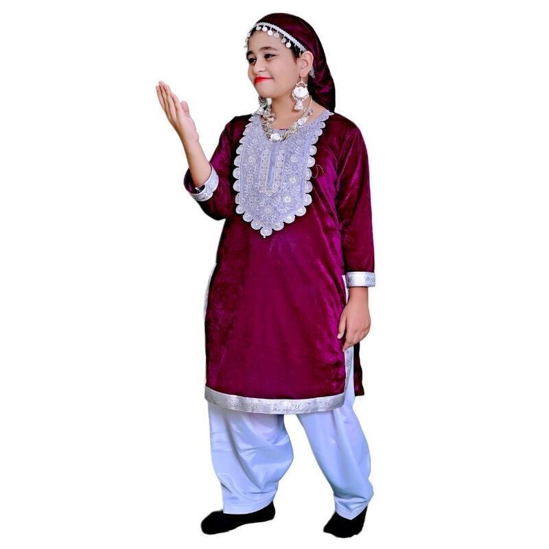 Kashmiri Dance Fancy Dress Wine & White Kashmiri Dance Fancy Dress Wine & White