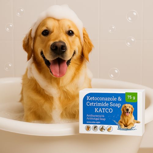 Katco Medicated Pet Soap โ Antifungal & Antibacterial Protection with Ketoconazole & Cetrimide (75g) Katco Medicated Pet Soap โ Antifungal & Antibacterial Protection with Ketoconazole & Cetrimide (75g)