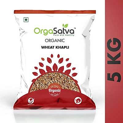 Wheat - Khapli Wheat - Khapli