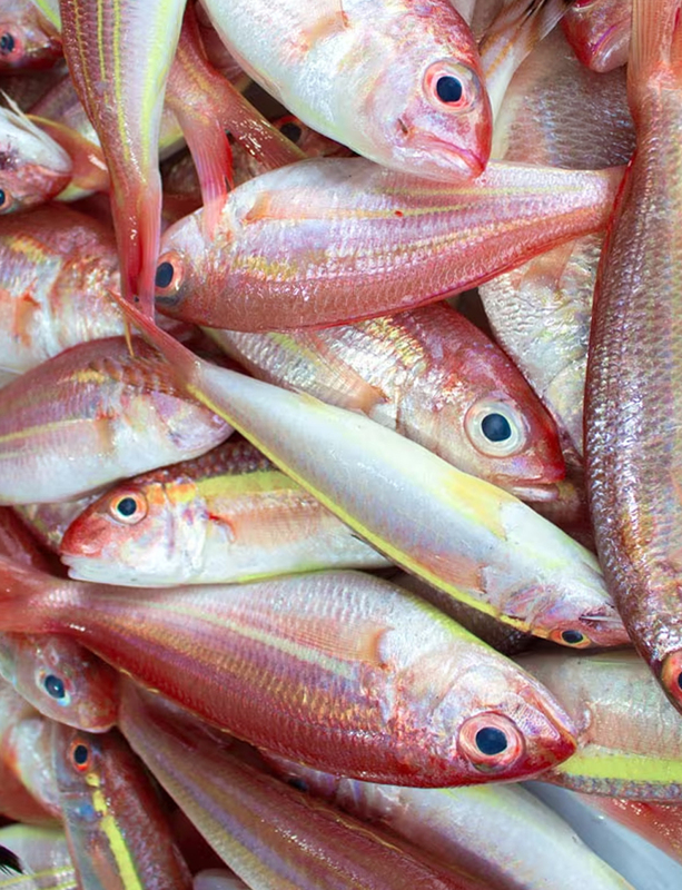 Kilimeen/ Puyapla Catla Whole Medium Size