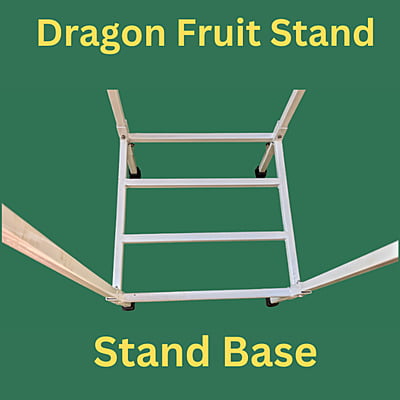 Stand for Dragon Fruit Plant